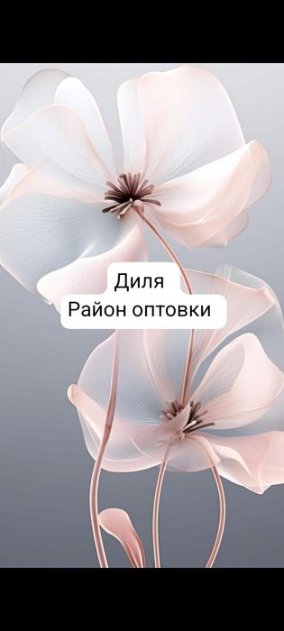 Оздоровительный комплекс