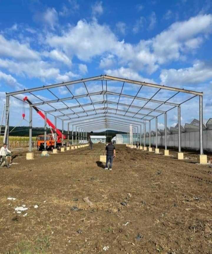 Vând structura metalica 6x20x4.ne ocupam cu hale metalice