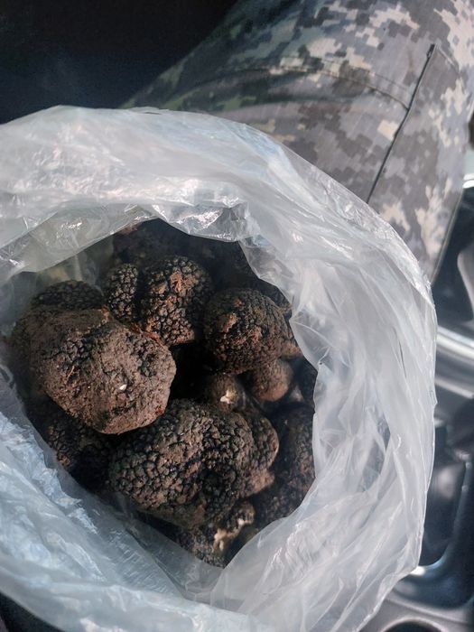 Trufe proaspete fresh parfumate savuroase