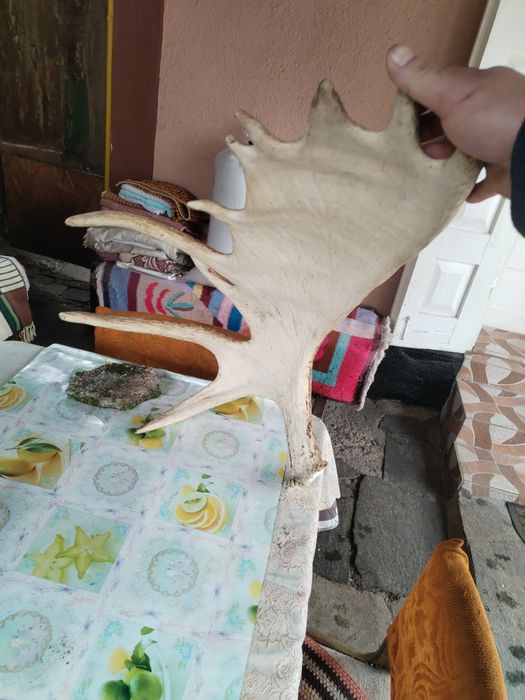 Vând ornament decorativ!!