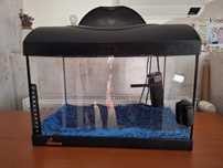 Acvariu 25x25x40