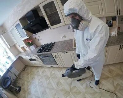 Дезинфекция УНИЧТОЖЕНИЕ ТРАВЛЕНИЕ  тараканов клопов блох осы мышей кры