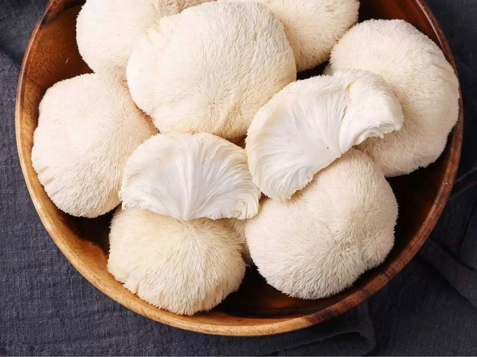 Ежовик гребенчатый