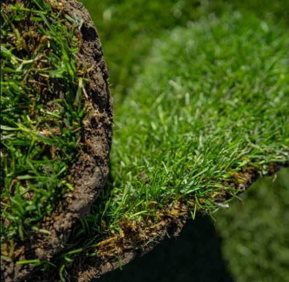 Gazon Rulou Transport montaj