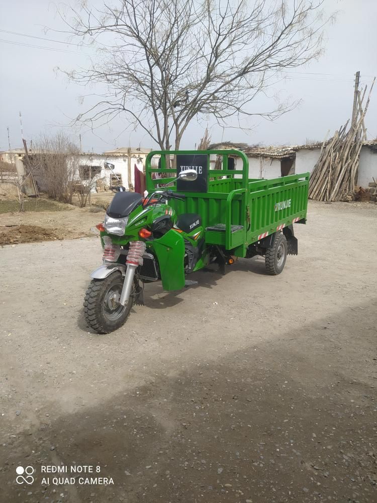 Xunjie  250 kup motor 2 tonnalik