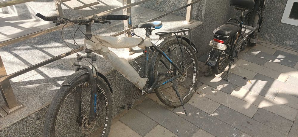 Velosiped arzon narxda