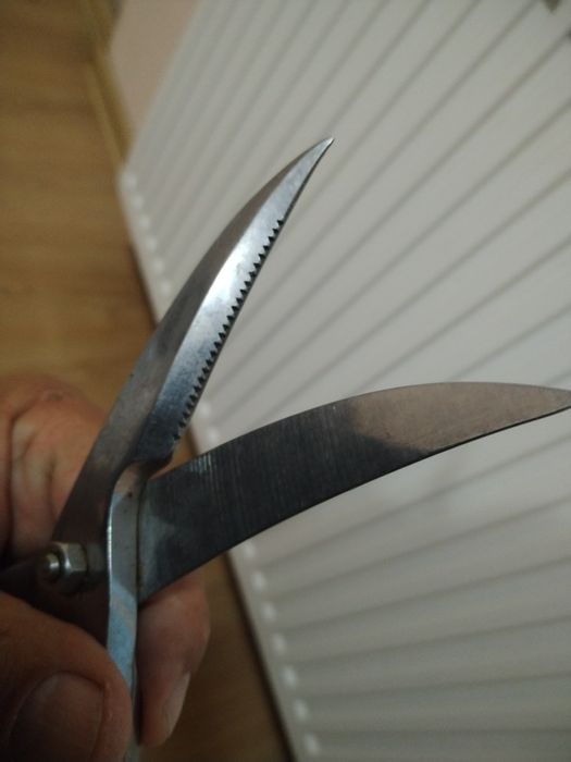 Маркова ножица са пернати