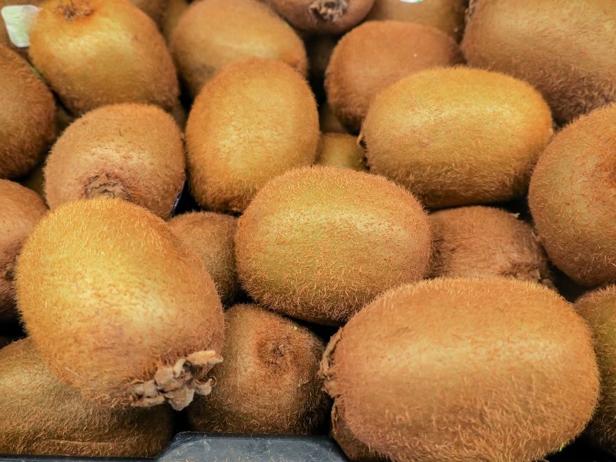 Pomi fructiferi exotici  kiwi soiul Zespri galben