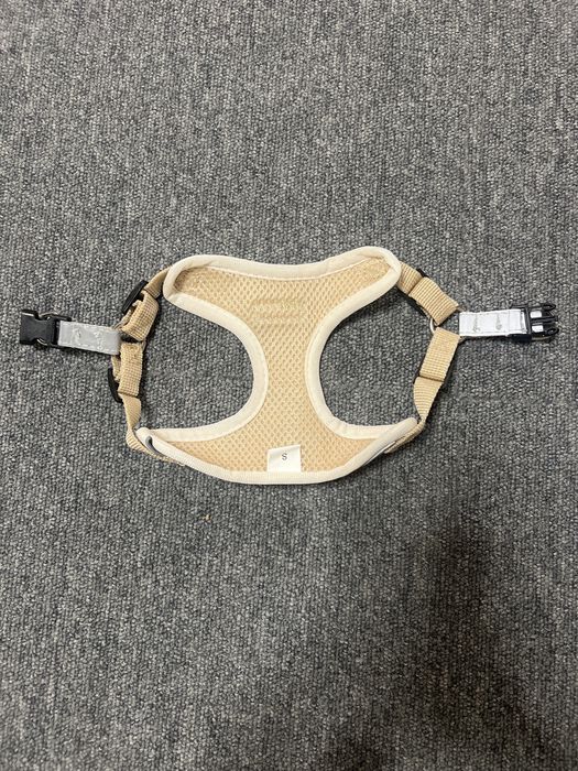 Ham si lesa de caine de talie mica