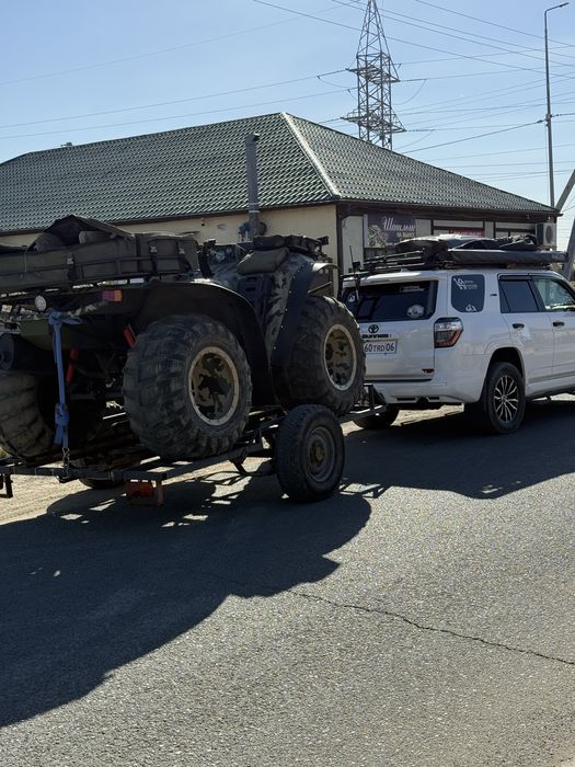 Росомаха в отличнгм состояний.