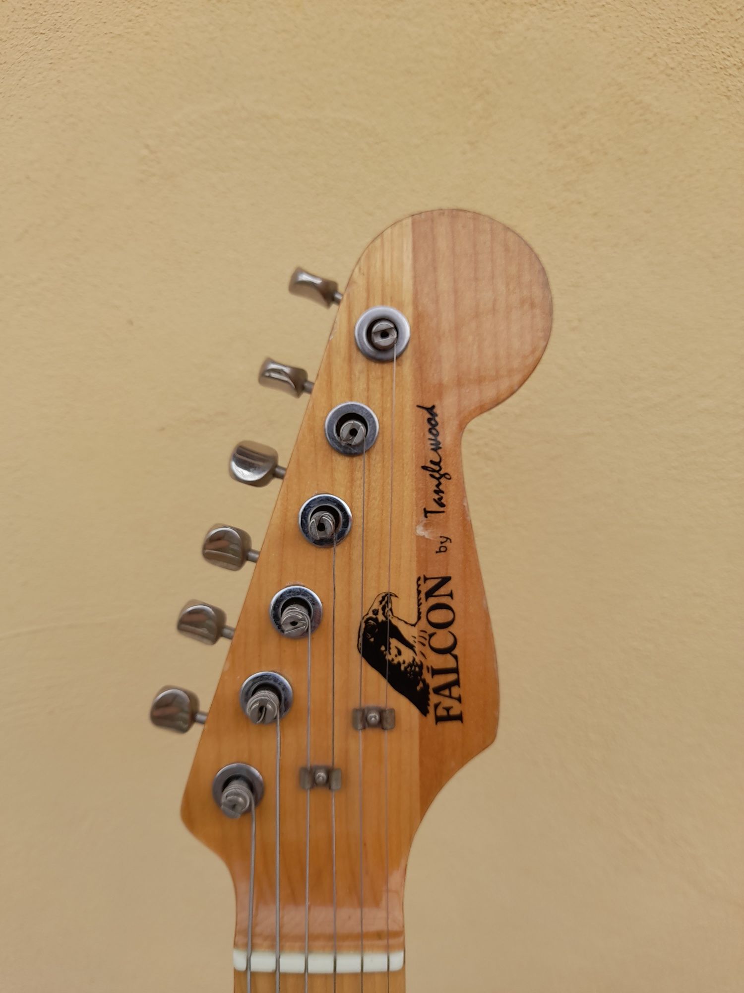 chitara electrica Falcon by Tanglewood