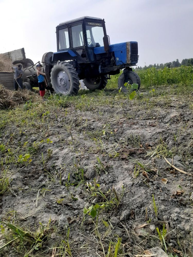 Belarus mtz сотилади