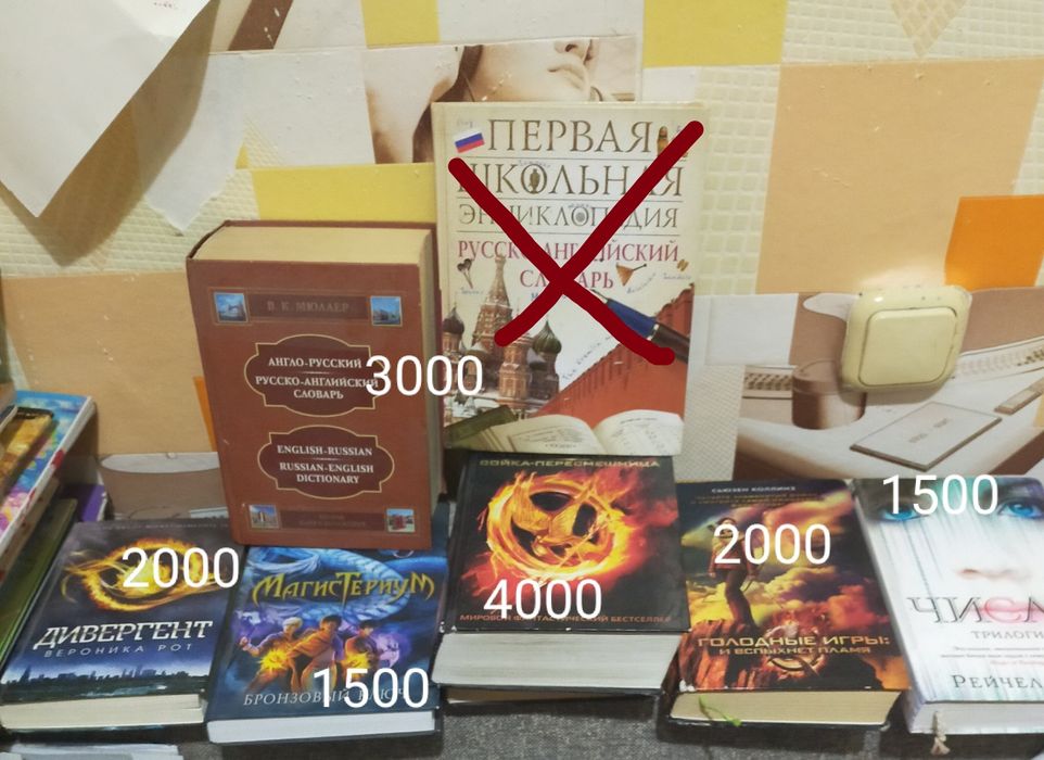 Книги  и словари.хороший подарок на новый год