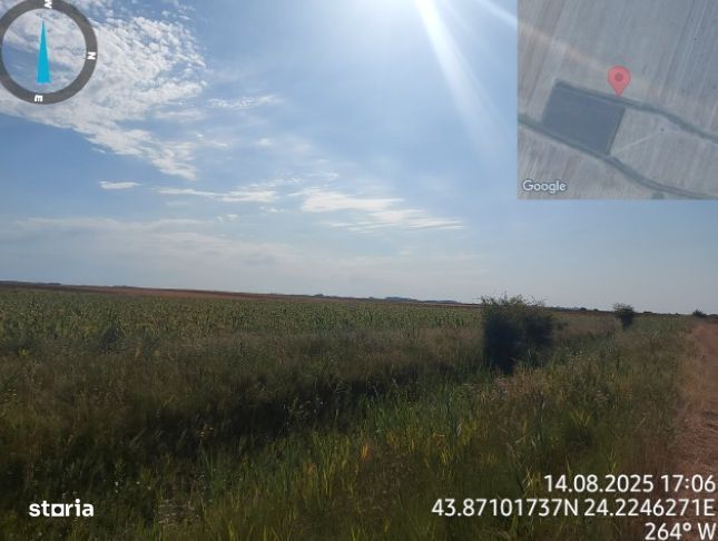 Cota de 1/4 din teren loc. Amarastii de Jos, Jud Dolj