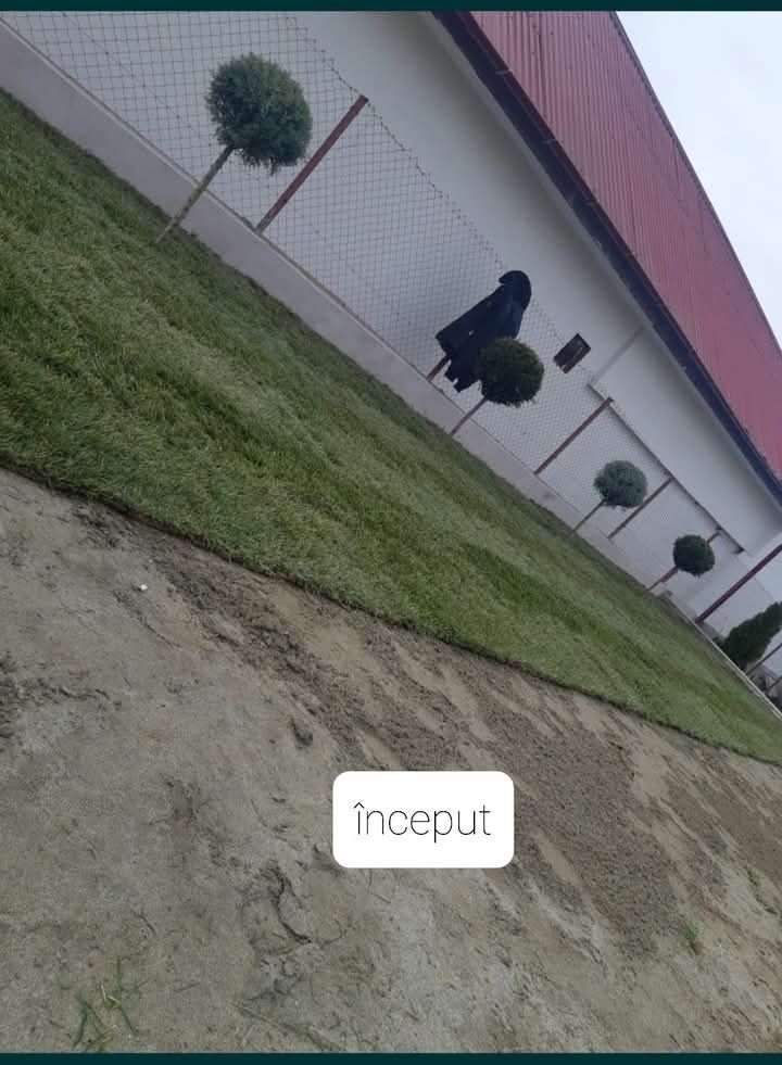 Gazon rulou cu plasa