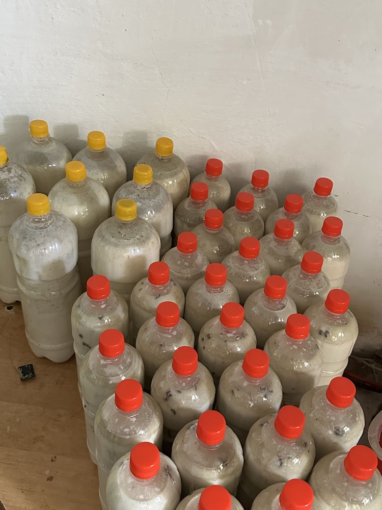 Молочный продукт