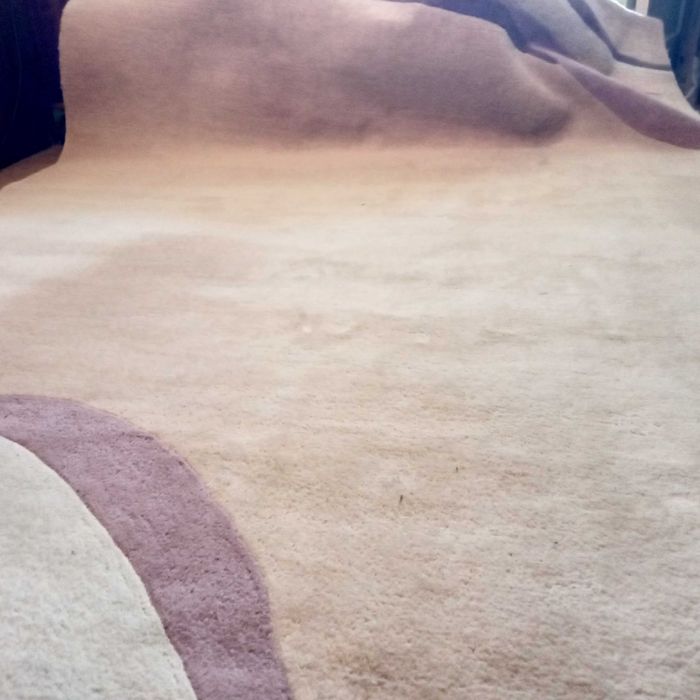 Vand covor persan lana pura, 200x300 x3,5 cm