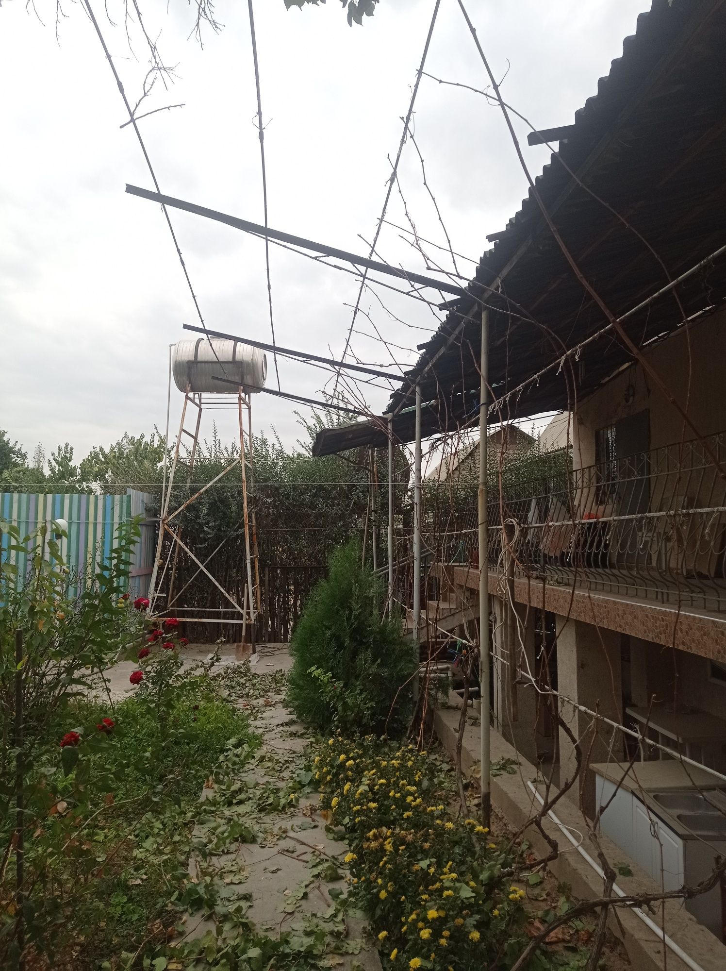 Опытный садовник виноградарадар