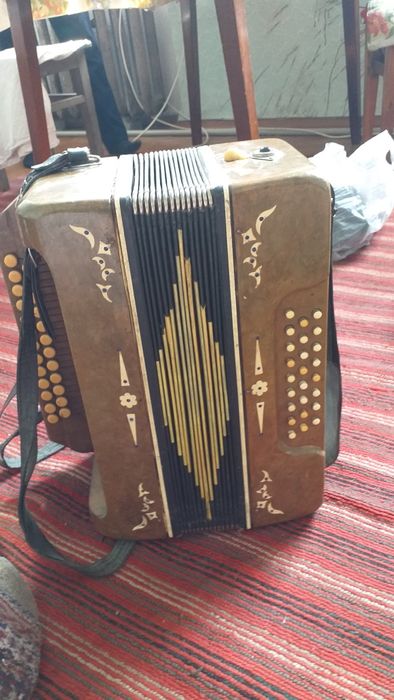 Аккардион,баян          .