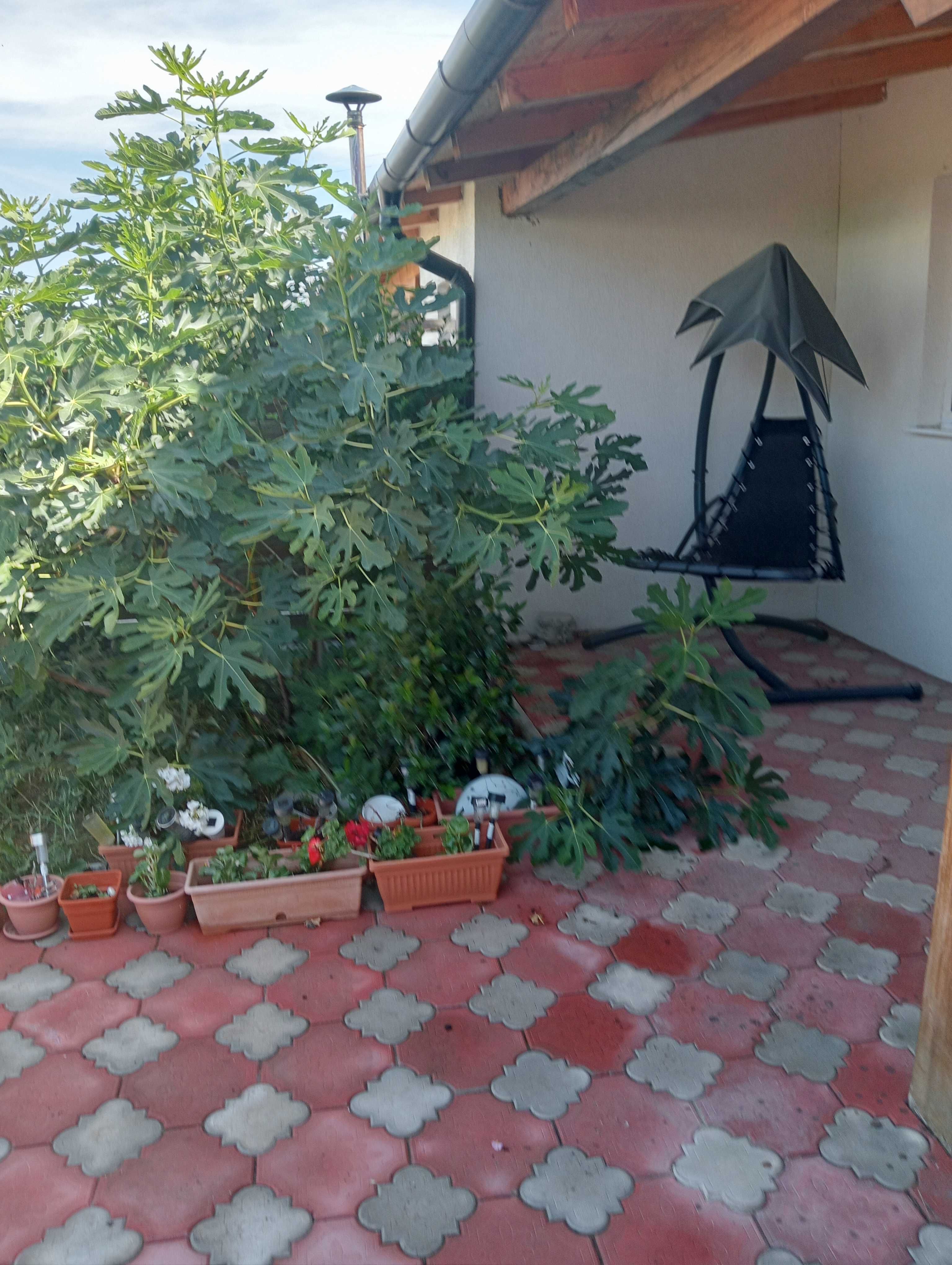 Vând sau schimb casă în Nojorid
