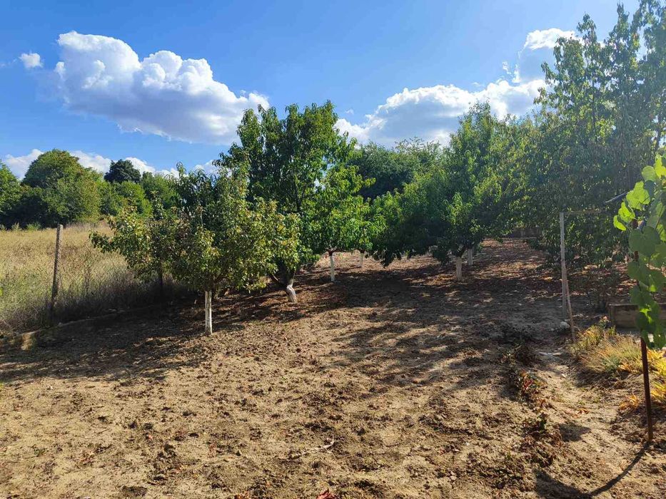 Продава се Къща в с. Телериг, Област Добрич - 90 кв.м за 417 €/кв.м - Снимка #5