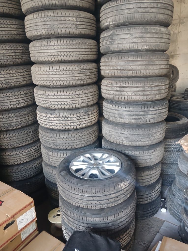 Arginal kobolt diska balon 390 $