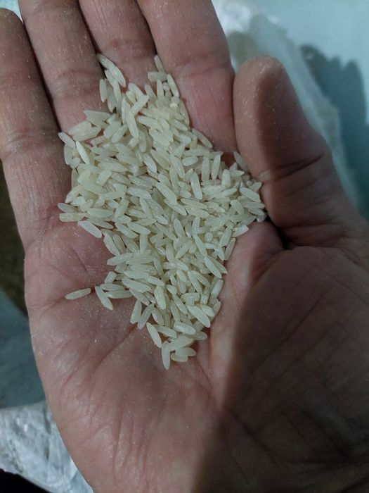 Xorazm lazer gurunch