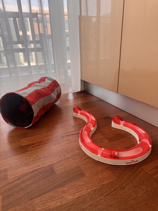 Circuit de joaca pisica Royal Canin