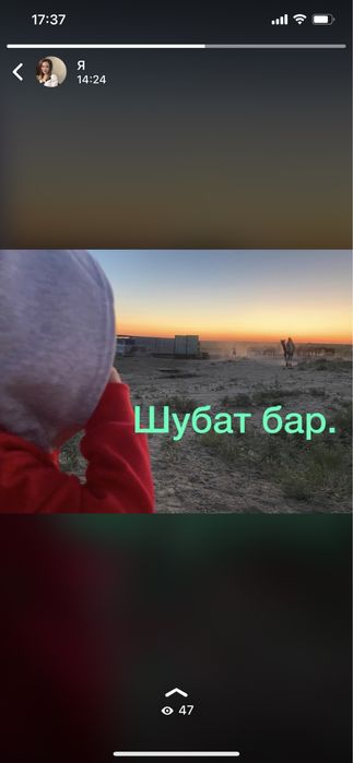 Шубат табиги таза