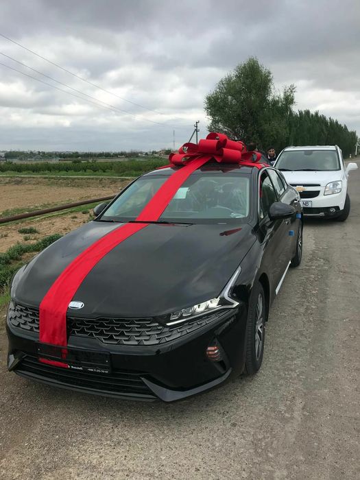 Шикарный бант на авто банты бантики разные  красивые  для mashin Bant