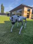 Unitree GO2 – Robot patruped inteligent, AI & control avansat
