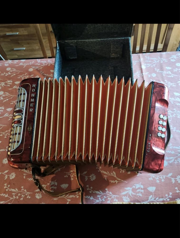 Acordeon in stare perfecta