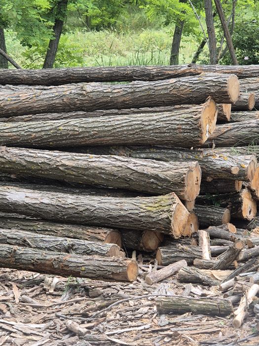 Vind lemn foc salcim tăiate capete