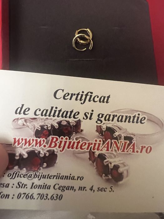 Cercei pentru bebelusi cu certificat de garantie