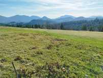 Teren  Pasul Tihuta /Piatra Fântânele