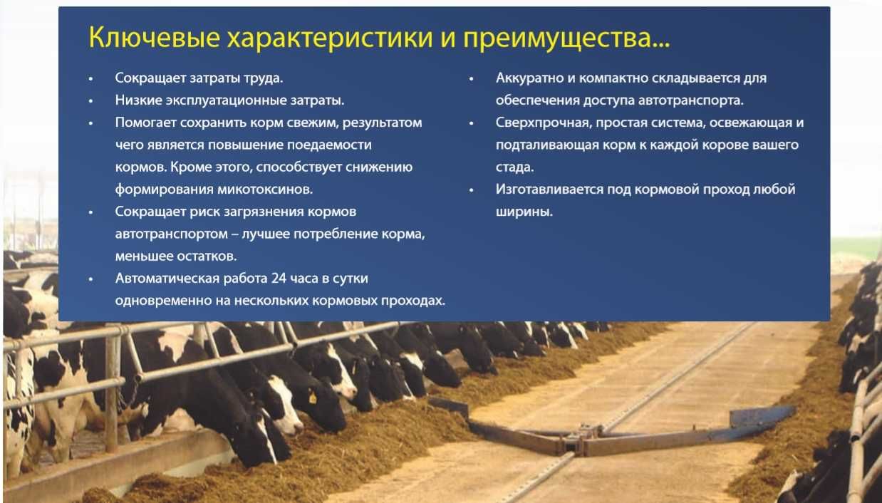 Скреперная система Dairymaster