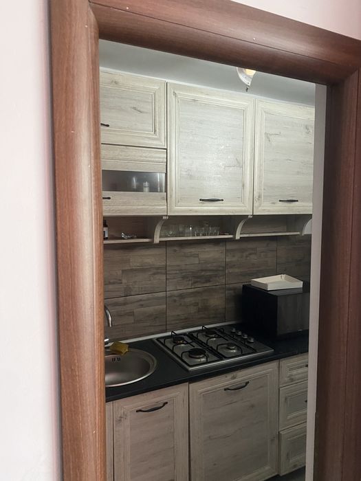 Dau in chirire garsoniera Burdea