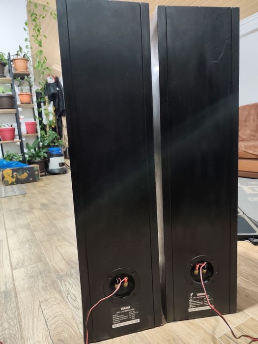 Boxe Yamaha ns-g120