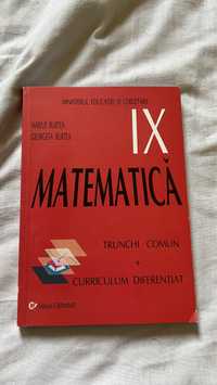 Culegere Matematica editura Carminis clasa a 9-a ix-a
