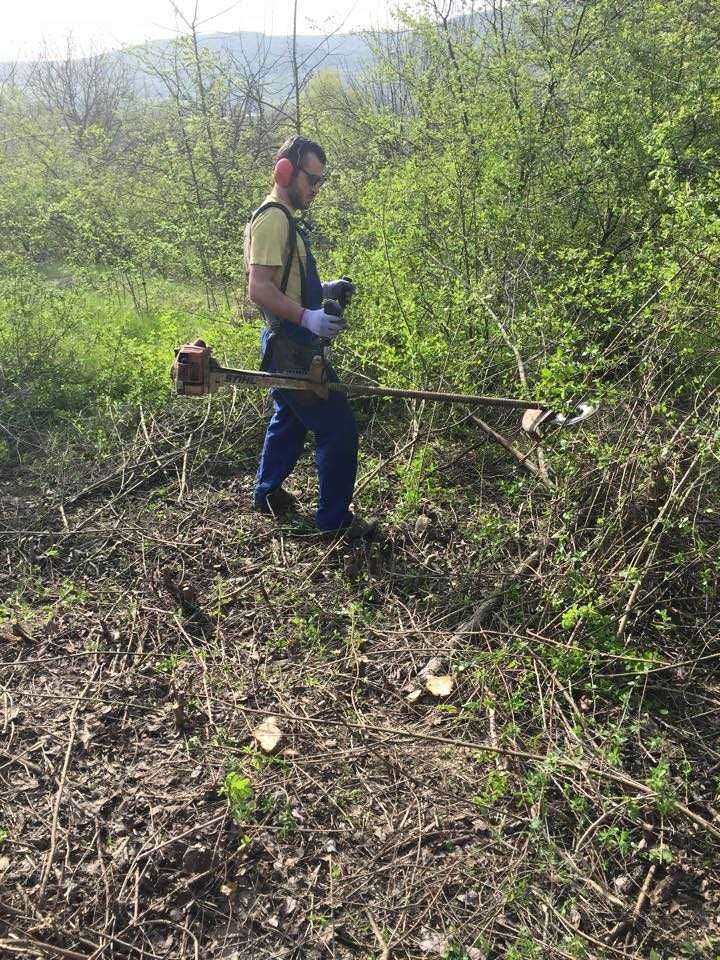 Почистване на дворове и запустели терени в София – бързо и изгодно