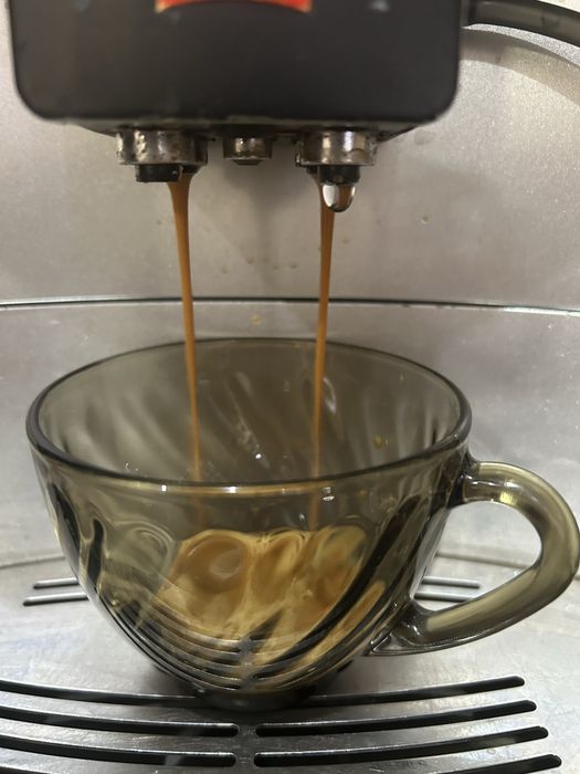 Espresor  cafea Melita Barista-piese