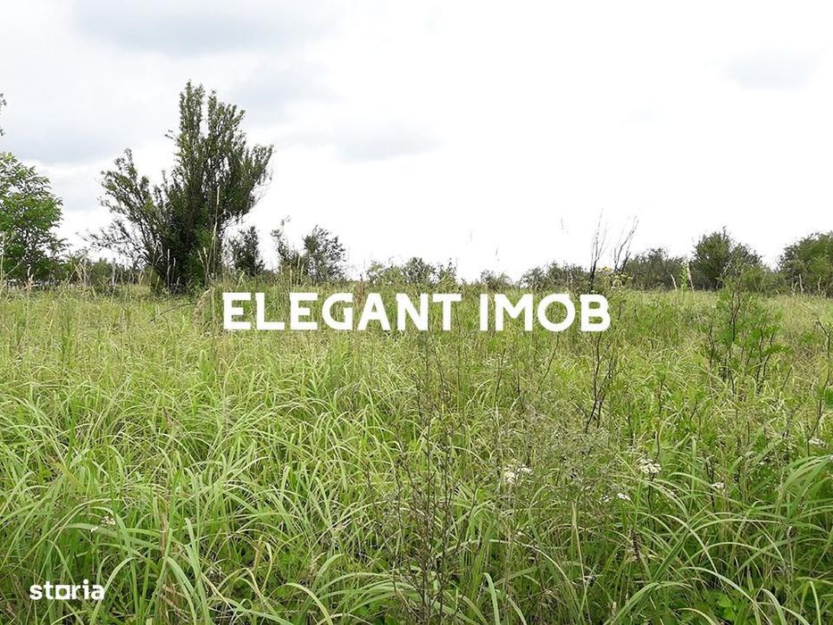 Teren la 79 euro perfect pentru construit vile in Corbeanca