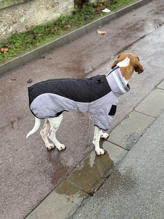 Непромокаеми дрехи за куче