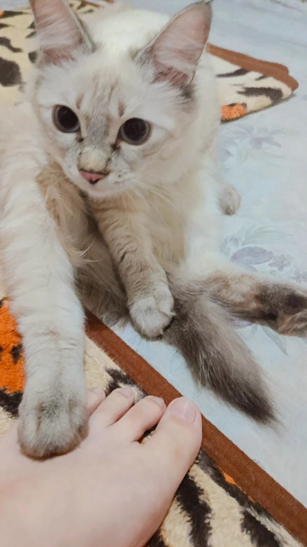 Mushuk vyazkaga qiz bola 1yoshdan oshgan