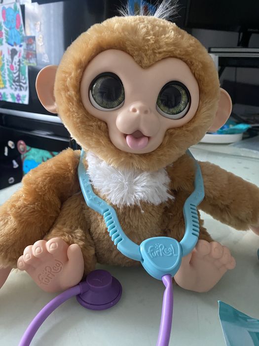 Mainuta interactiva doctor consult