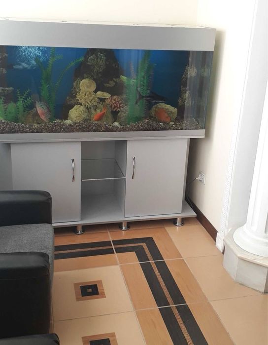 Аренда под офис метро Дружба, Коратош 1 линия С мебелью! 70м2