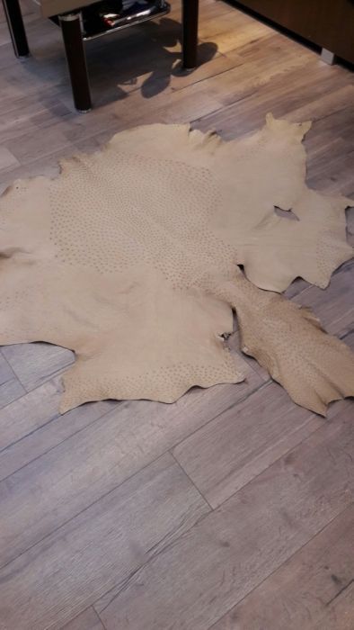 De vanzare Piele de strut