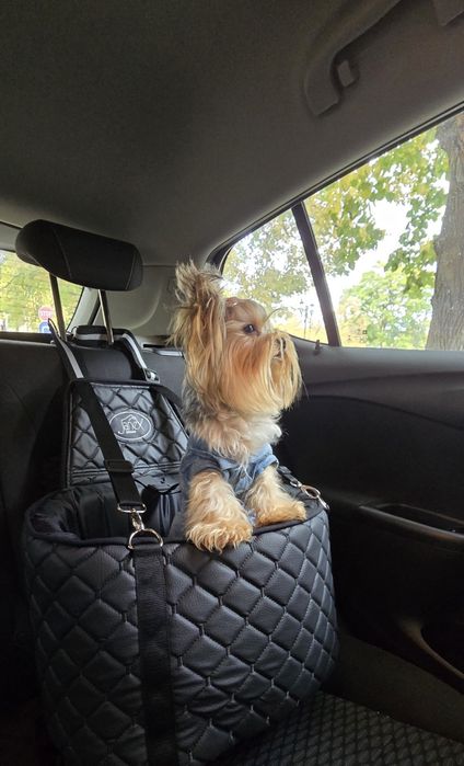 Кош за кола  за куче