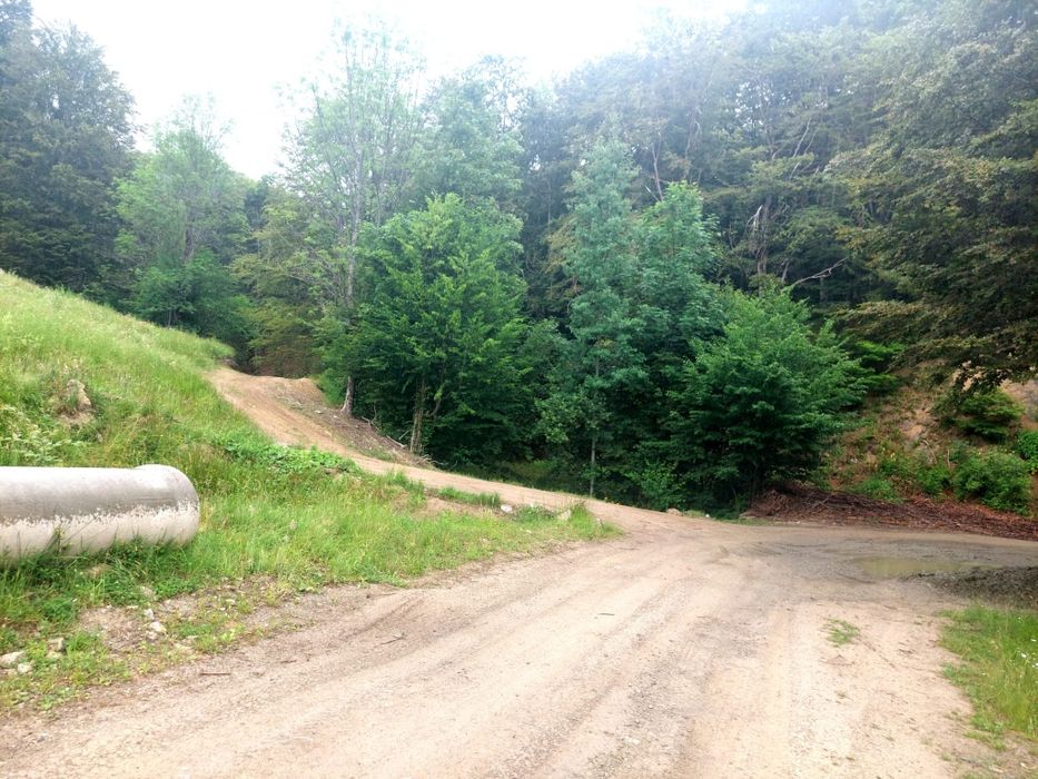 Izbucul  Cernei,Gorj