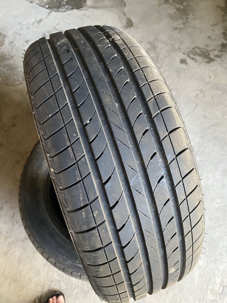 Bars balon 15 razmer